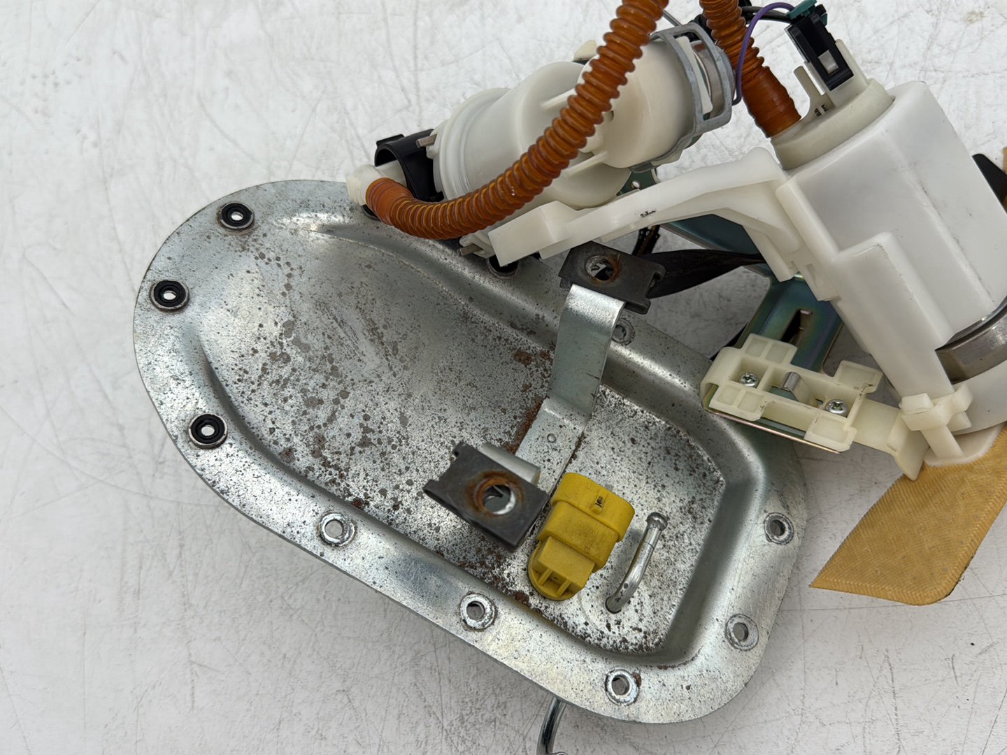 2008 Harley Dyna FXDL Low Rider Anniversary OEM Gas Gasoline Fuel Petrol Pump Sending