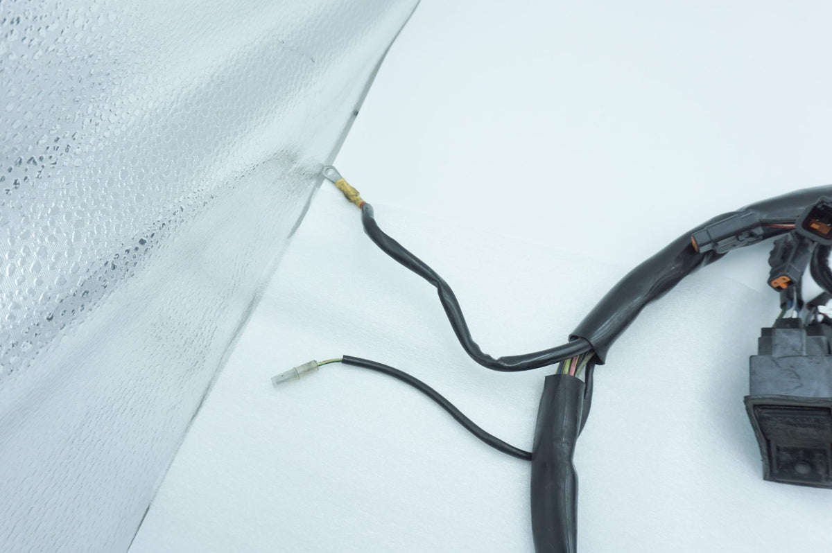 Wire Harness Loom Plug In Connector, 2001, Harley-Davidson, Touring, Electra Ultra, FLHTCUI