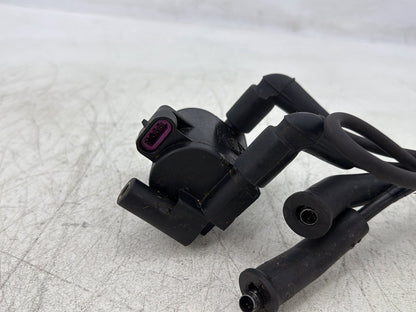 2015 Harley Road Glide Touring FLTRXS OEM Ignition Coil Spark Plugs Cable