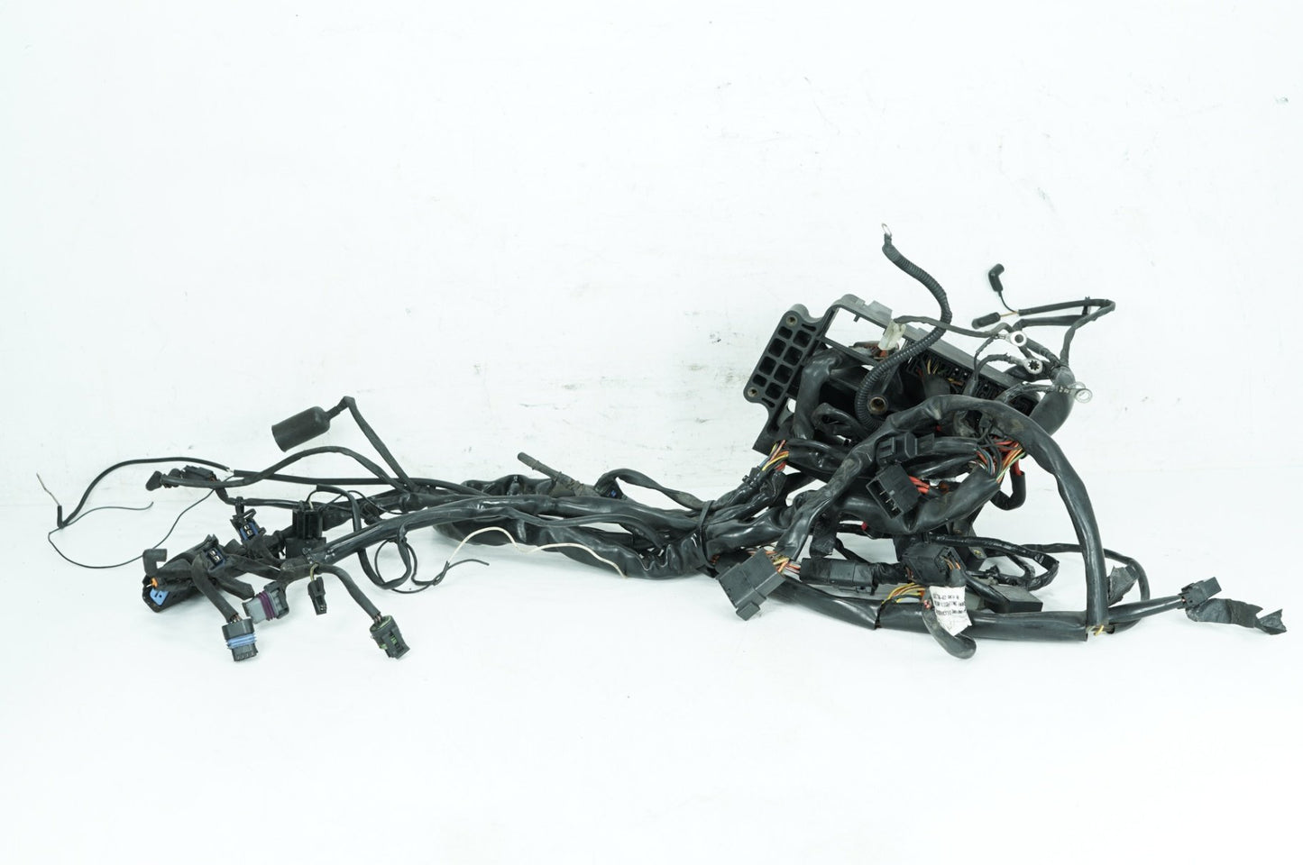 1999 - 2006 Harley-Davidson Dyna Low Rider Main Wire Wiring Harness Loom 69602-04A