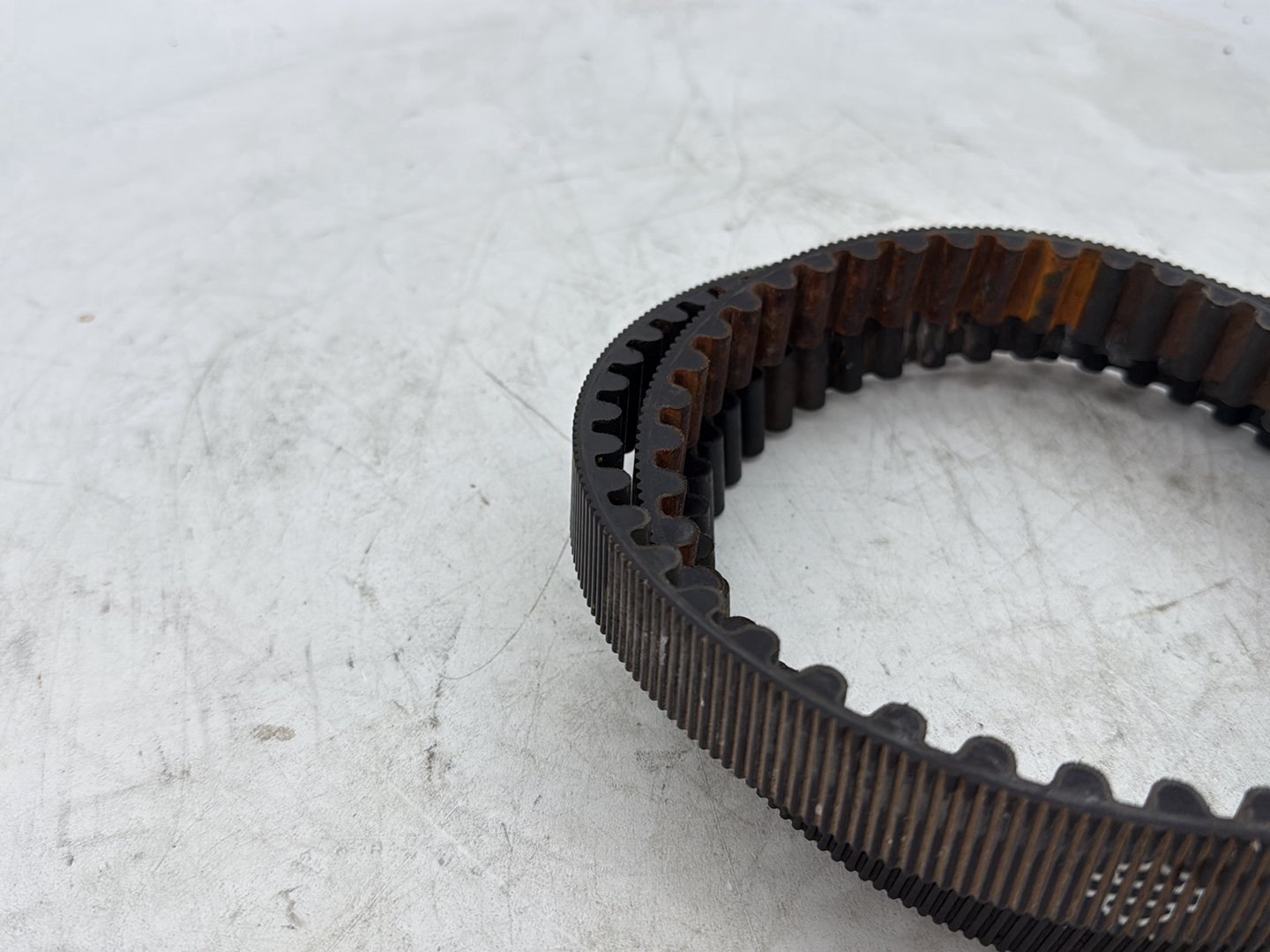 2012 Harley Dyna FXDF Fat Bob OEM Rear Drive Belt