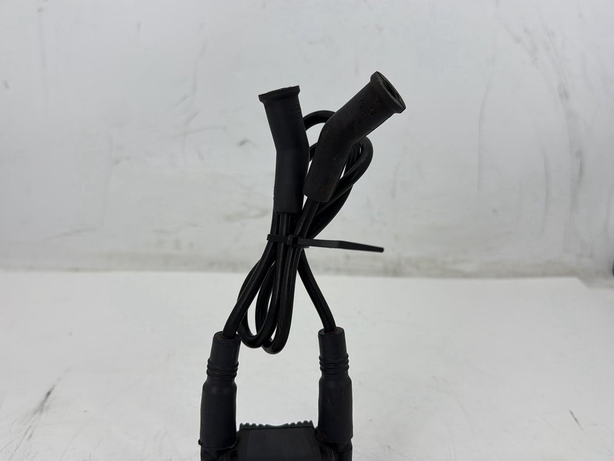 2007 Harley Street Glide Touring FLHX OEM Ignition Coil Spark Plugs Cable