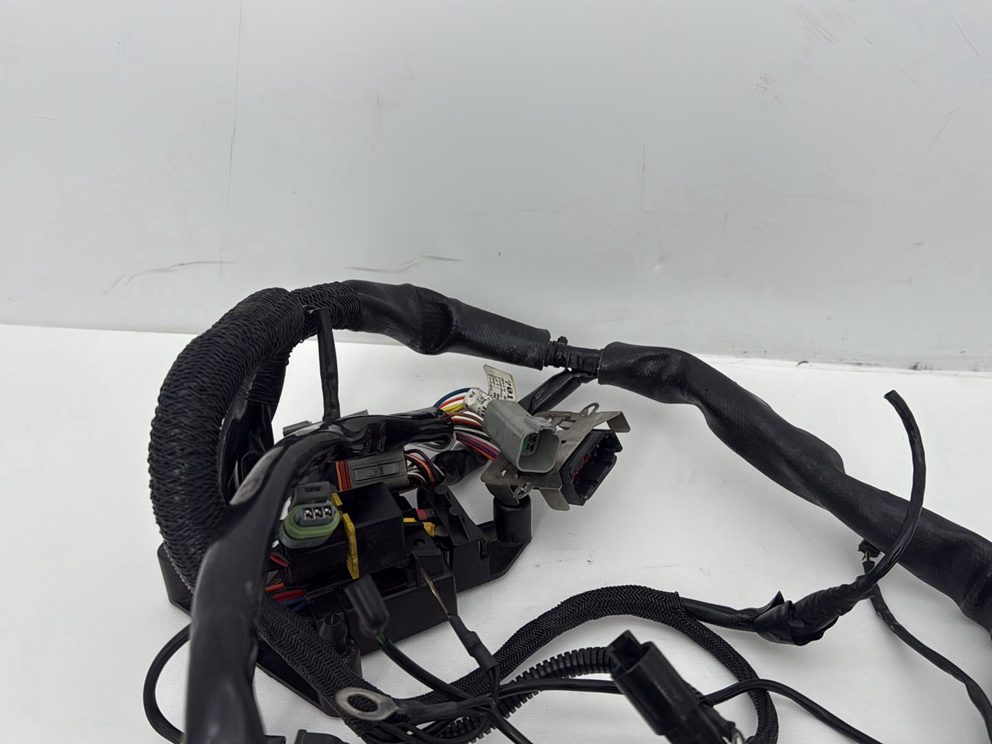 2003 Harley Sportster XL1200C 1200 Custom Anniversary OEM Main Wire Wiring Harness Ignition Switch NOKey