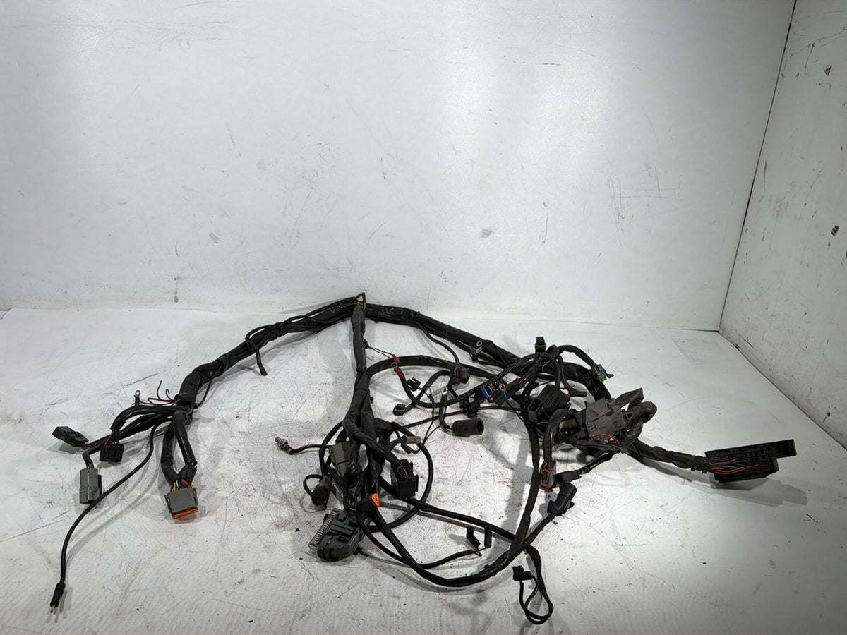 2005 Harley Electra Glide Touring CVO Eagle OEM Main Wire Wiring Harness Loom