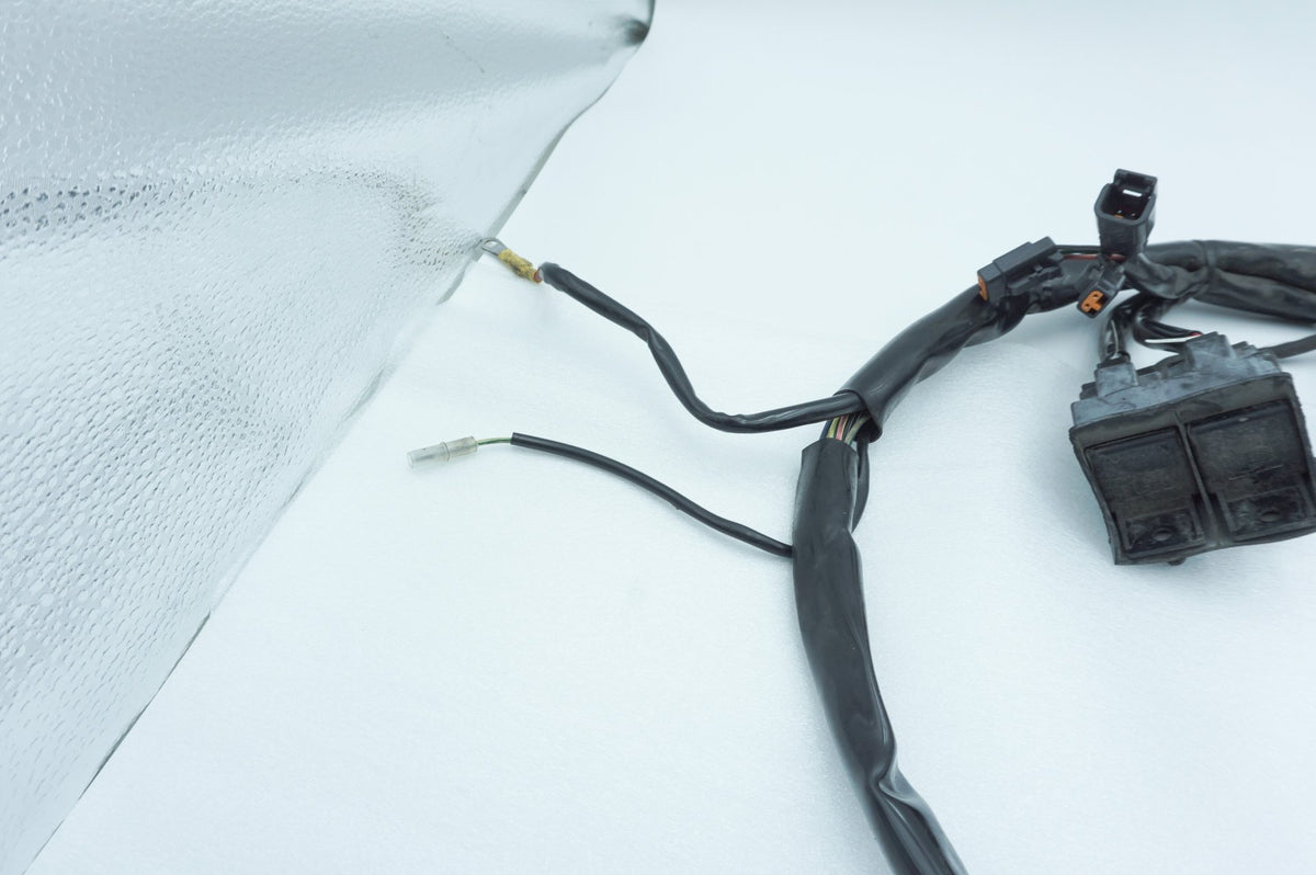 Wire Harness Loom Plug In Connector, 2001, Harley-Davidson, Touring, Electra Ultra, FLHTCUI