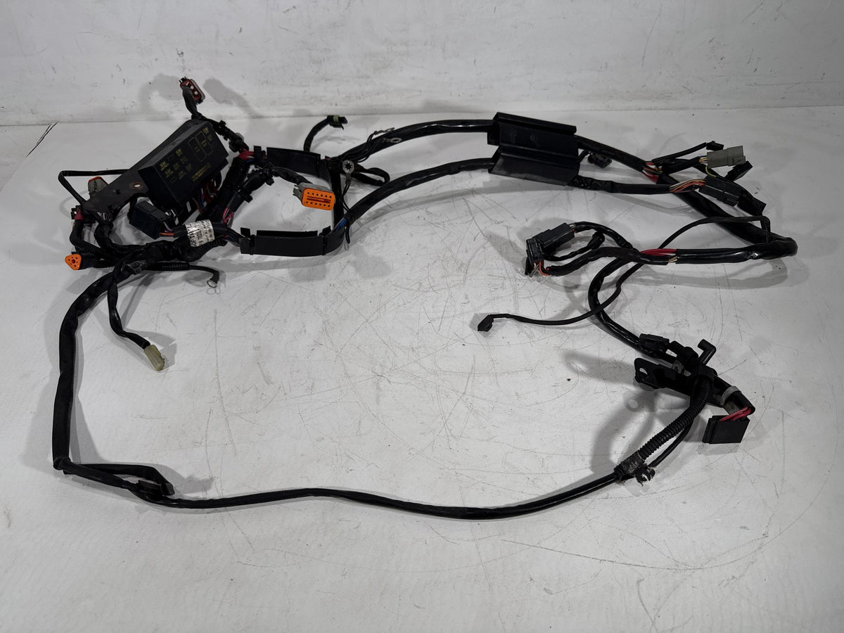 2001 Harley Softail Standard FXST OEM Main Wire Wiring Harness Loom CARB