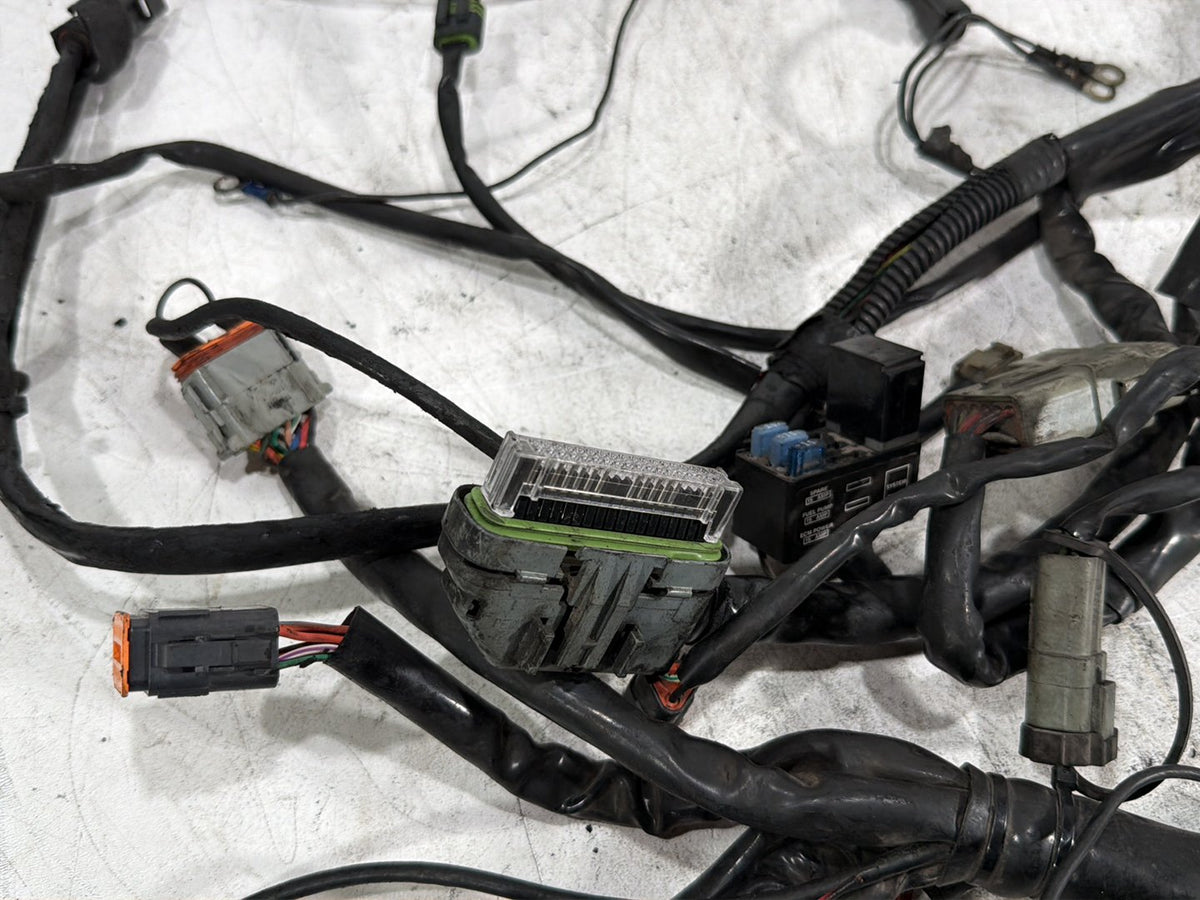 2005 Harley Electra Glide Touring CVO Eagle OEM Main Wire Wiring Harness Loom