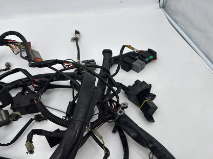 1999 - 2006 Harley-Davidson Touring Electra Glide Classic Main Wire Wiring Harness Loom 70985-01