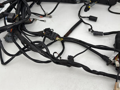 1999 - 2006 Harley-Davidson Touring Electra Glide Ultra Main Wire Wiring Harness Loom 71000-06