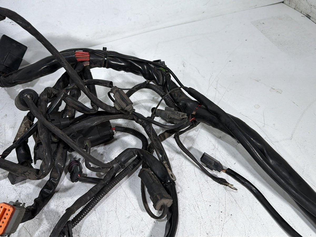 2005 Harley Electra Glide Touring CVO Eagle OEM Main Wire Wiring Harness Loom