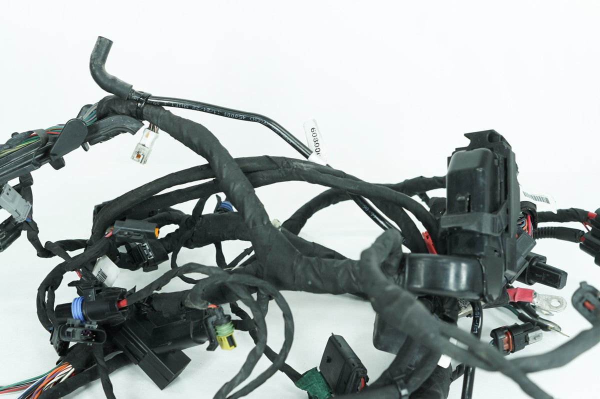 2023 Harley Softail FXLRS Low Rider S OEM Main Wire Wiring Harness Loom ABS