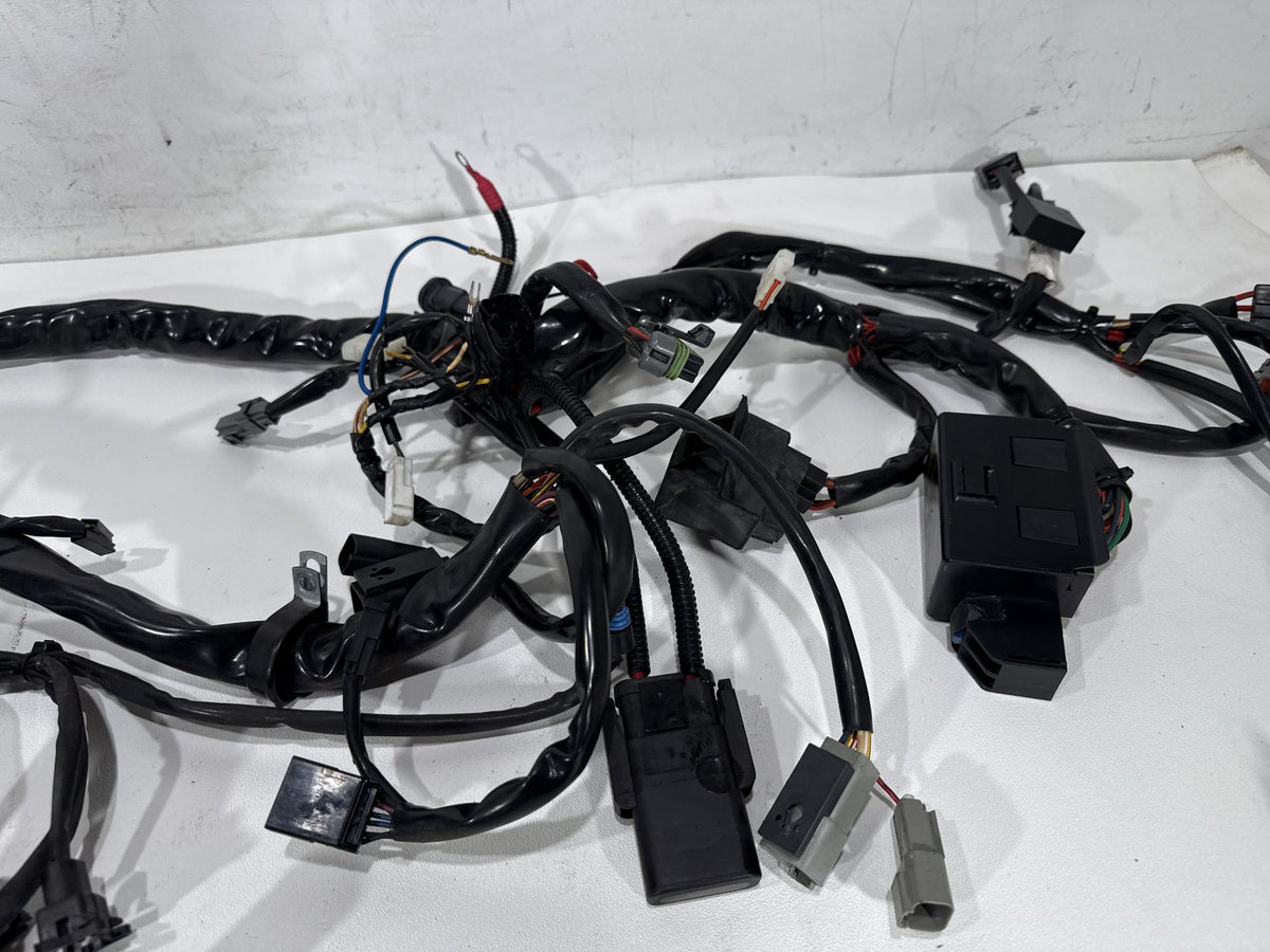 2004 Harley Road King Touring Classic OEM Main Wire Wiring Harness Loom
