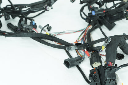 2018 - 2026 Harley-Davidson Softail Low Rider S Main Wire Wiring Harness Loom ABS 69202197