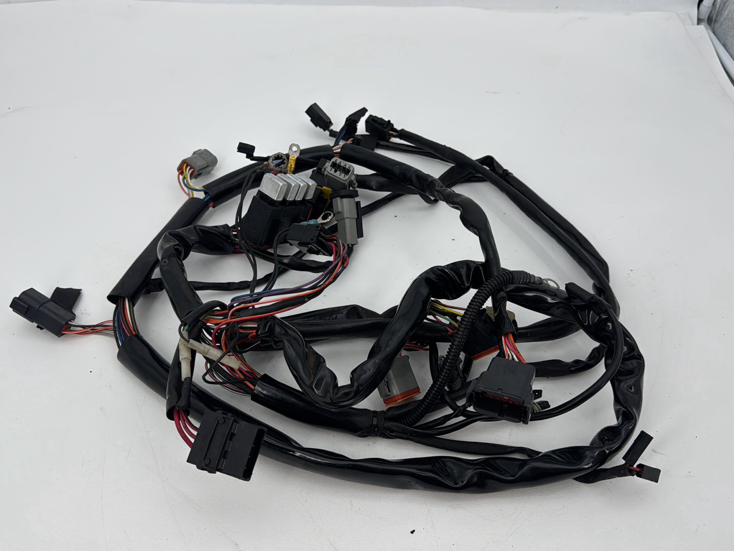 1999 - 2006 Harley-Davidson Dyna Low Rider Main Wire Wiring Harness Loom