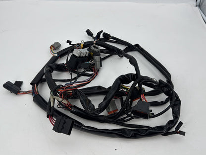 1999 - 2006 Harley-Davidson Dyna Low Rider Main Wire Wiring Harness Loom