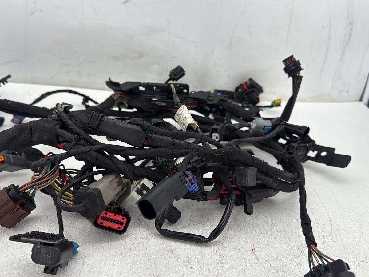 2019 Harley Softail Street Bob FXBB OEM Main Wire Wiring Harness Loom NON-abs