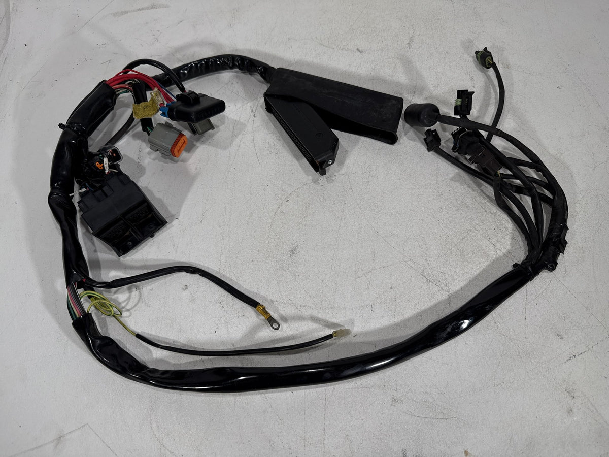 2001 Harley Electra Glide Touring Classic OEM Engine Bay Wire Wiring Harness