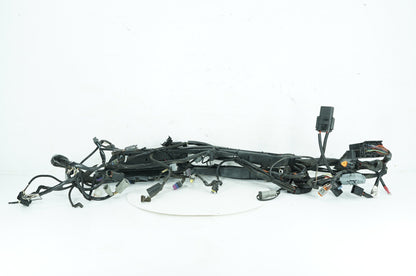 1999 - 2006 Harley-Davidson Touring Road King Main Wire Wiring Harness Loom 70245-06