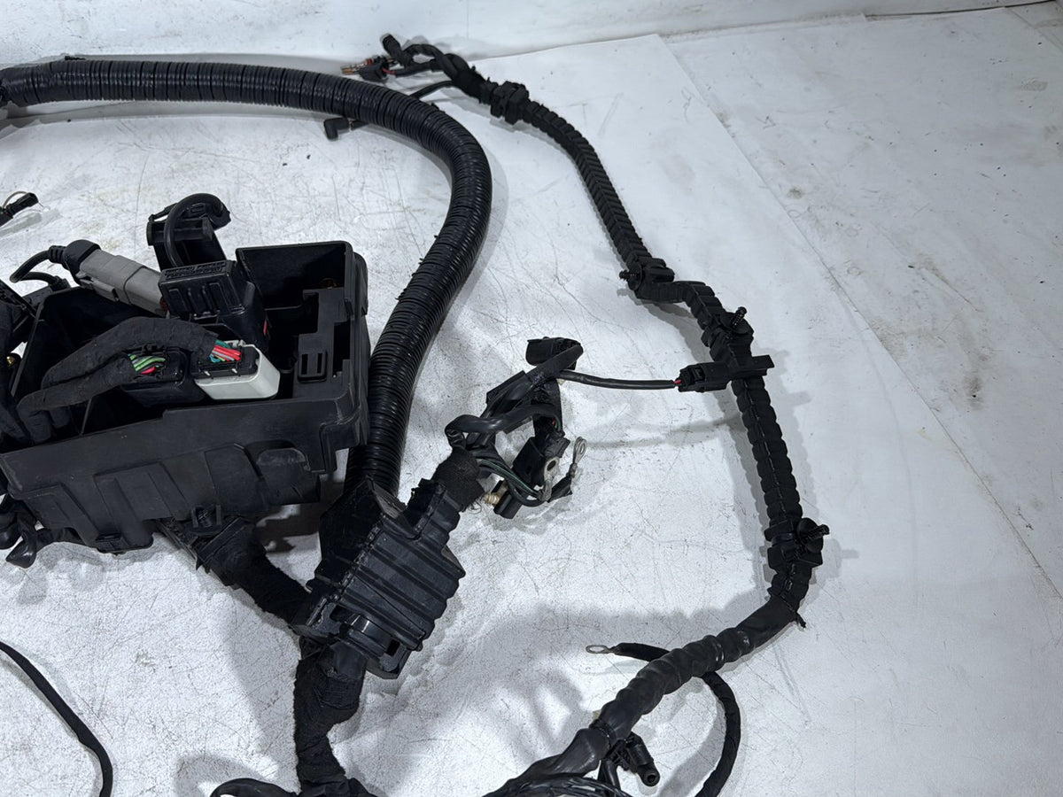 2014 Harley Dyna Low Rider FXDL OEM Main Wire Wiring Harness Loom NON-abs