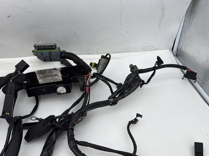 2007 Harley Softail Heritage Classic FLSTC OEM Main Wire Wiring Harness Loom