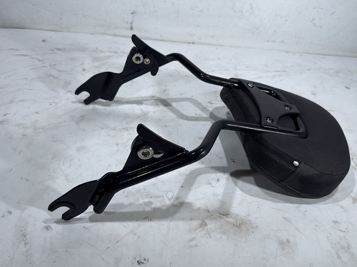 2022 Harley Road King Touring FLHR OEM Rear Sissy Bar w/ Backrest Cushion Pad