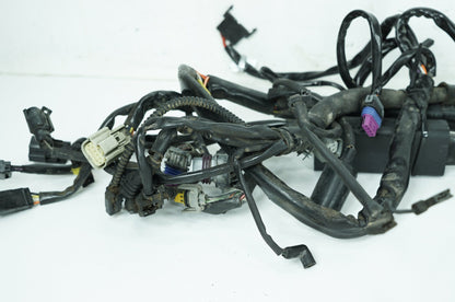 2007 - 2013 Harley-Davidson Softail Heritage Classic Main Wire Wiring Harness Loom 70431-08A