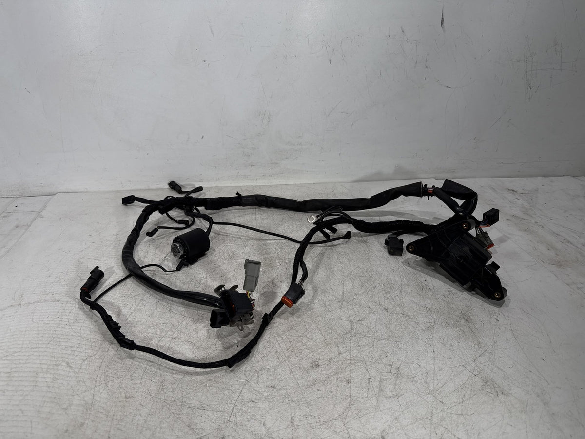 2000 Harley Sportster 1200 Custom XL1200C OEM Main Wire Wiring Harness Ignition Switch NOKey