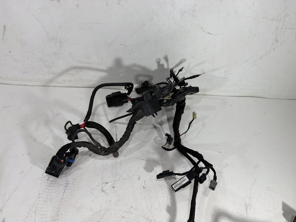 2020 Harley Softail Standard FXST OEM Main Wire Wiring Harness Loom NON-abs