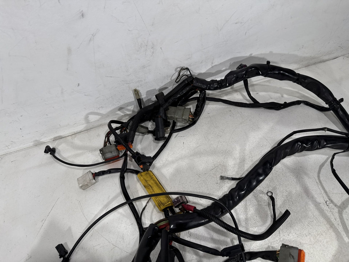 2002 Harley Electra Glide Touring Classic OEM Main Wire Wiring Harness Loom CARB