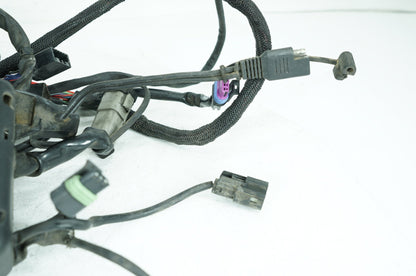 2004 - 2022 Harley-Davidson Sportster SuperLow Main Wire Wiring Harness Loom NON-abs 69200072B