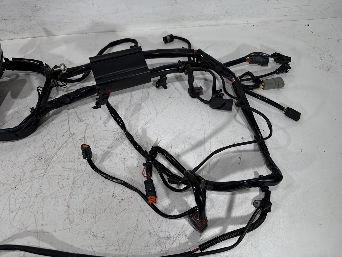 2003 Harley Softail Deuce FXSTDI OEM Main Wire Wiring Harness Loom EFI