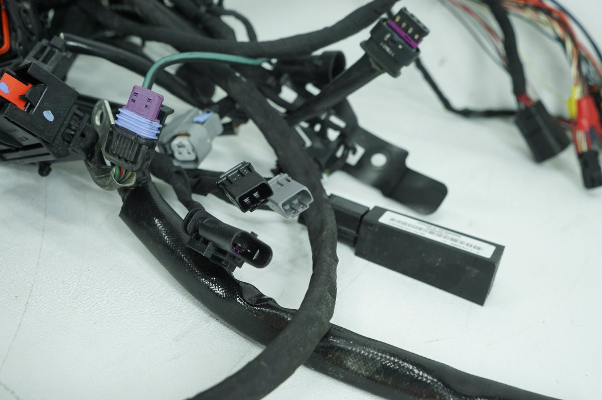 Main Wire Wiring Harness Loom, 69202197, 2024, Harley-Davidson, Softail, Standard, FXST