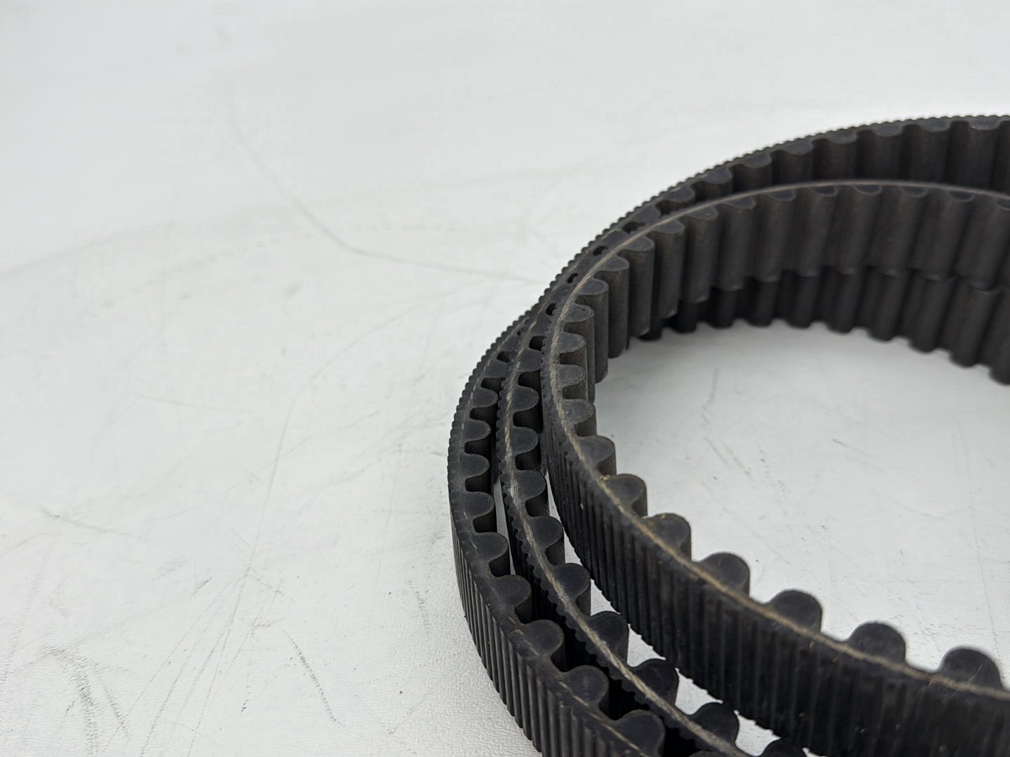 2004 - 2013 Harley-Davidson Sportster 1200 Custom Rear Drive Belt 40571-04B