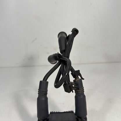 1999 - 2006 Harley-Davidson Touring Electra Glide Ultra Ignition Coil Spark Igniter 31743-01