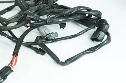 1999 - 2006 Harley-Davidson Dyna Super Glide Main Wire Wiring Harness Loom 69602-06