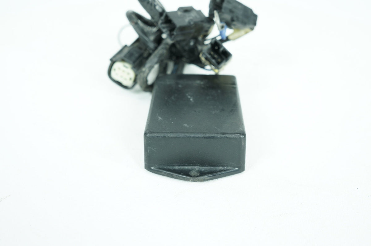 2012 Harley-Davidson Touring FLHX - Security Alarm Control Module Siren