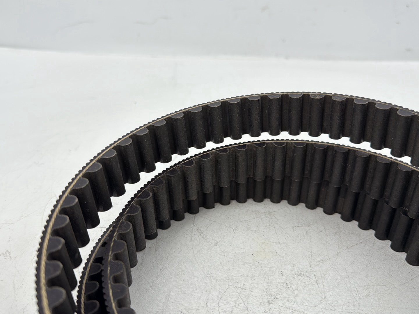 2006 Harley Sportster XL883C 883 Custom OEM Rear Drive Belt