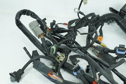 1999 - 2006 Harley-Davidson Softail Heritage Main Wire Wiring Harness Loom 70216-04A