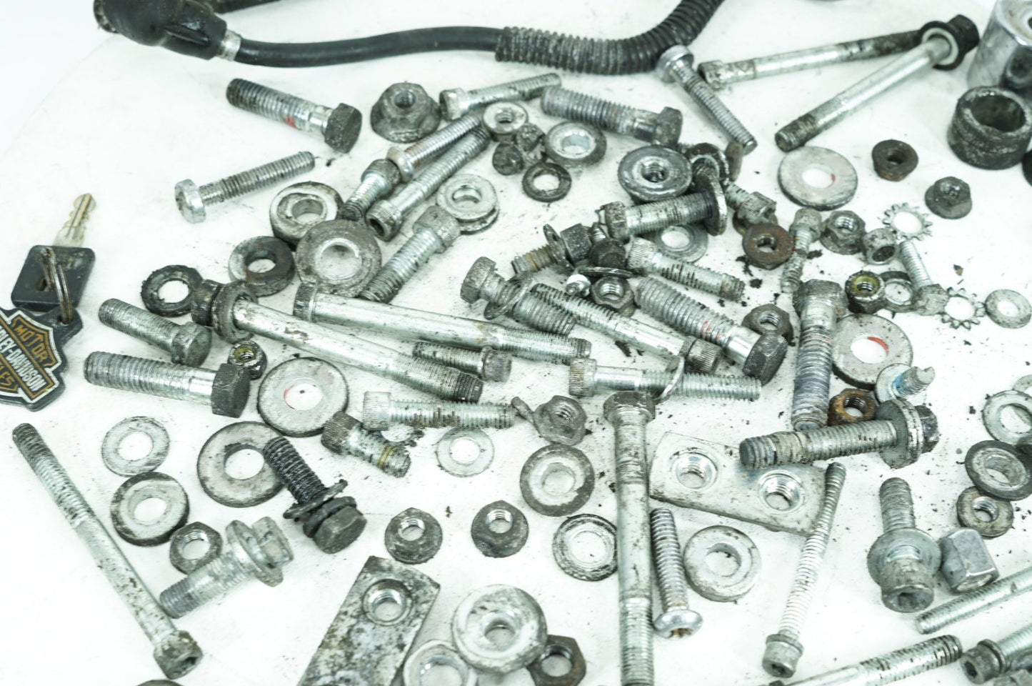 1986 - 2003 Harley-Davidson Sportster 1200 Hardware Bolts Nuts & Brackets