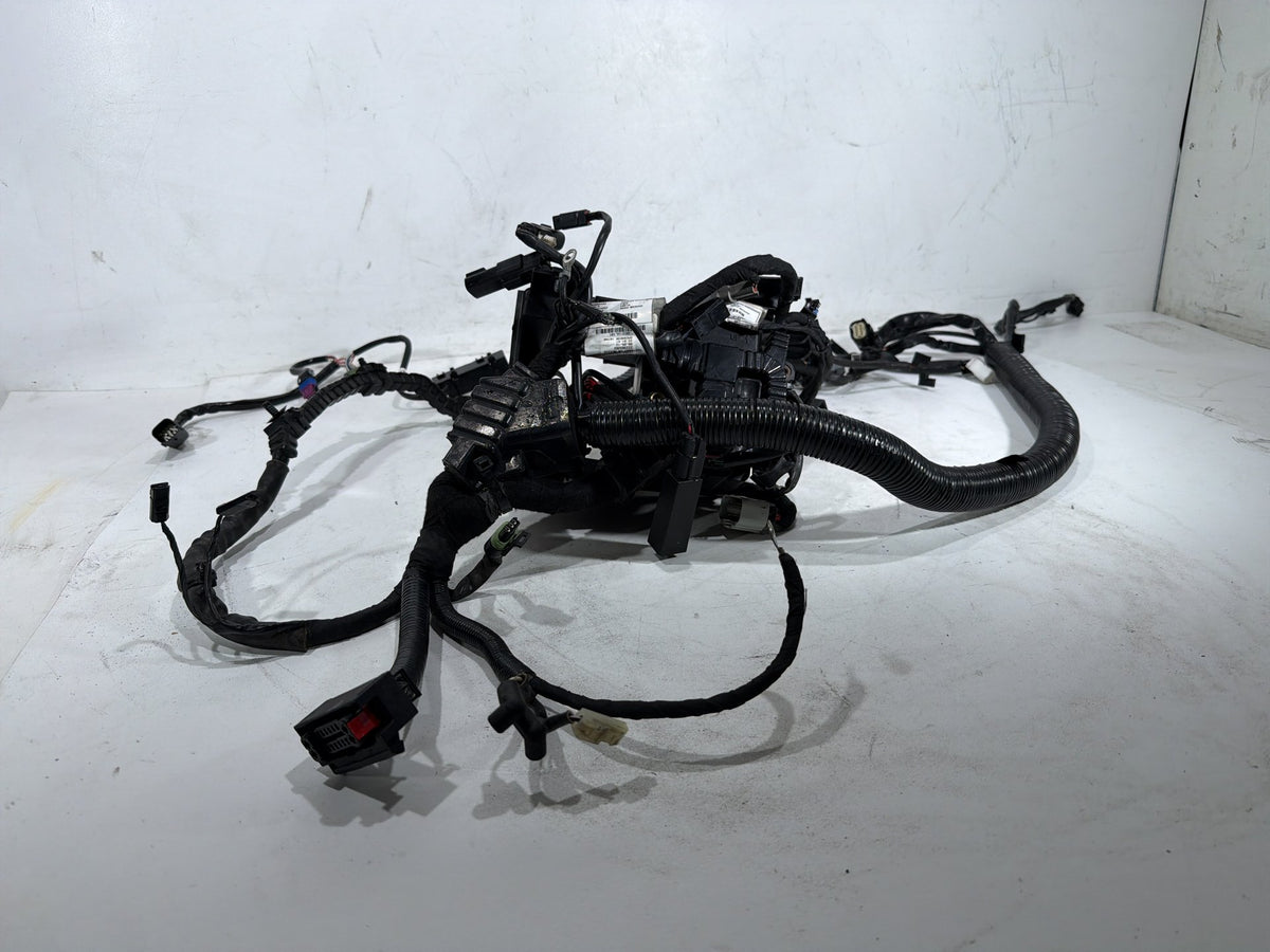 2012 Harley Dyna Fat Bob FXDF 103 OEM Main Wire Wiring Harness Loom ABS 71075-12