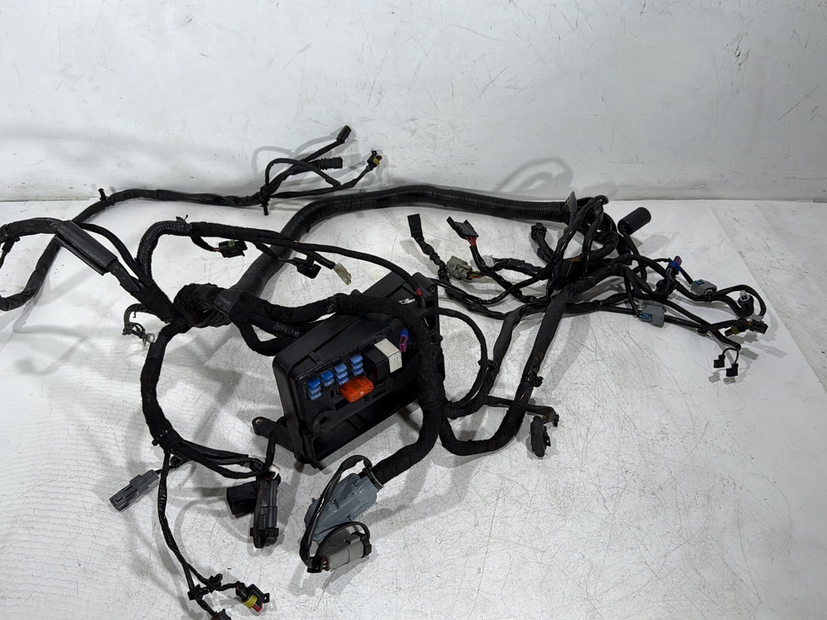 2009 Harley Dyna Street Bob FXDB OEM Main Wire Wiring Harness Loom