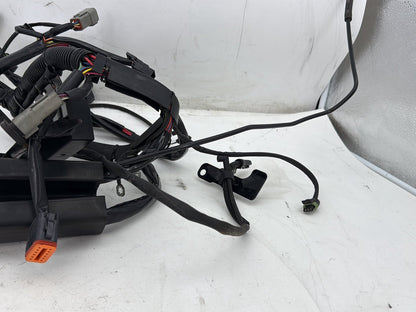 2002 Harley Heritage Softail Classic FLSTC OEM Main Wire Wiring Harness Loom