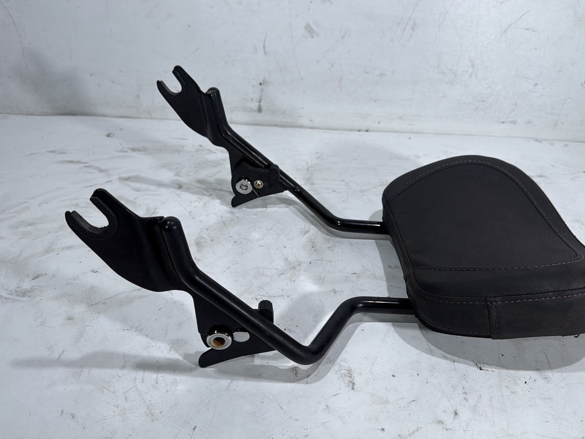 2022 Harley Road King Touring FLHR OEM Rear Sissy Bar w/ Backrest Cushion Pad