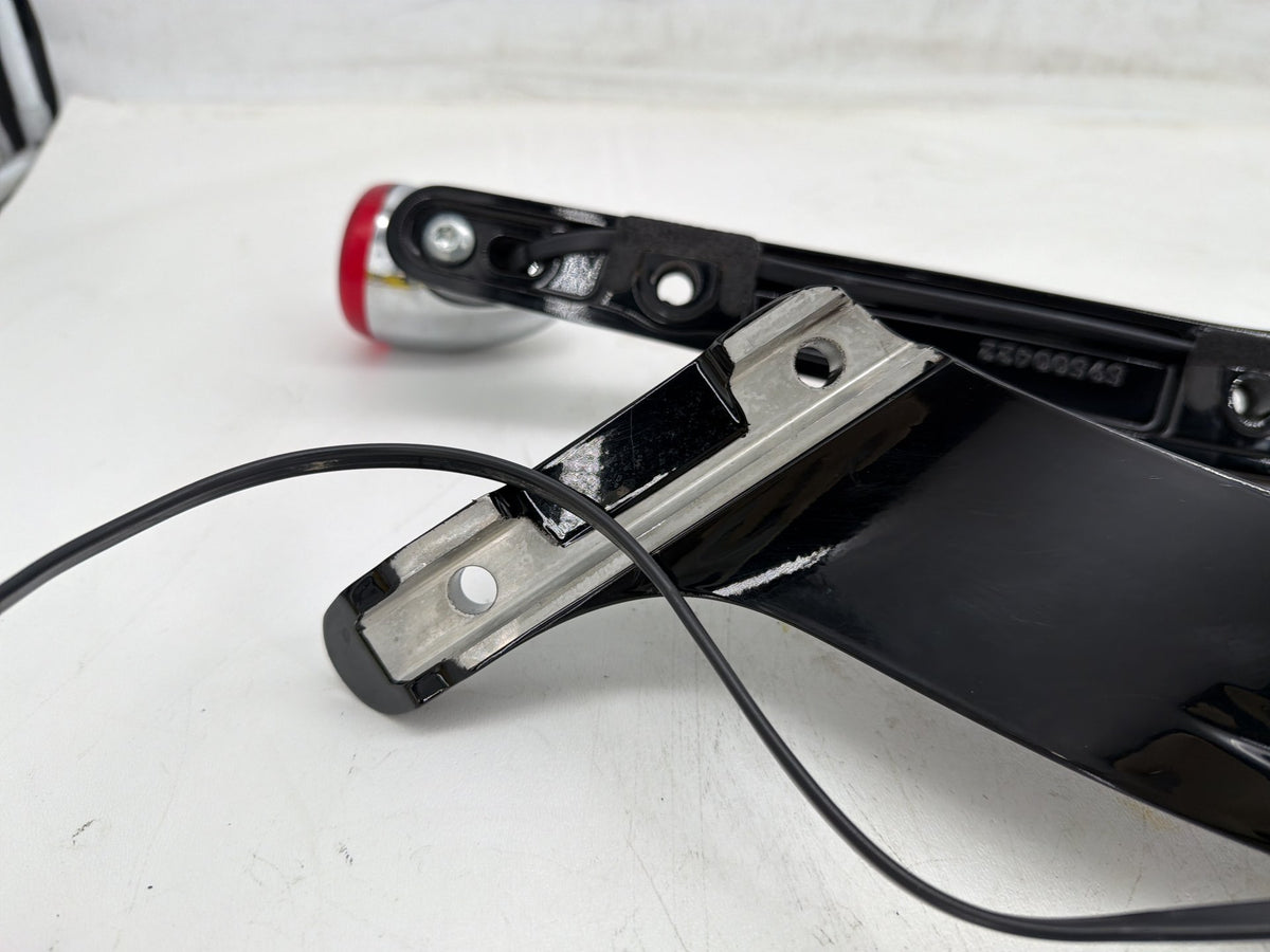 2020 Harley Softail Standard FXST OEM Rear Left Right Fender Struts Bracket & Turn Signal