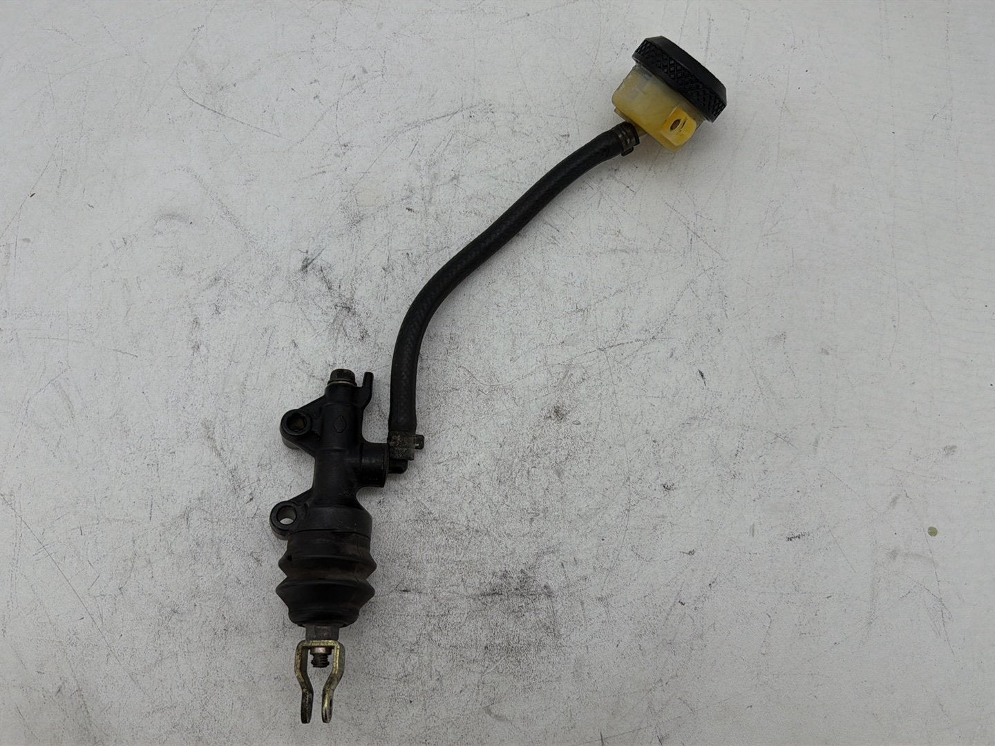 2006 Harley Sportster 1200 Custom XL1200C OEM Rear Brake Line Master Cylinder Reservoir Tank