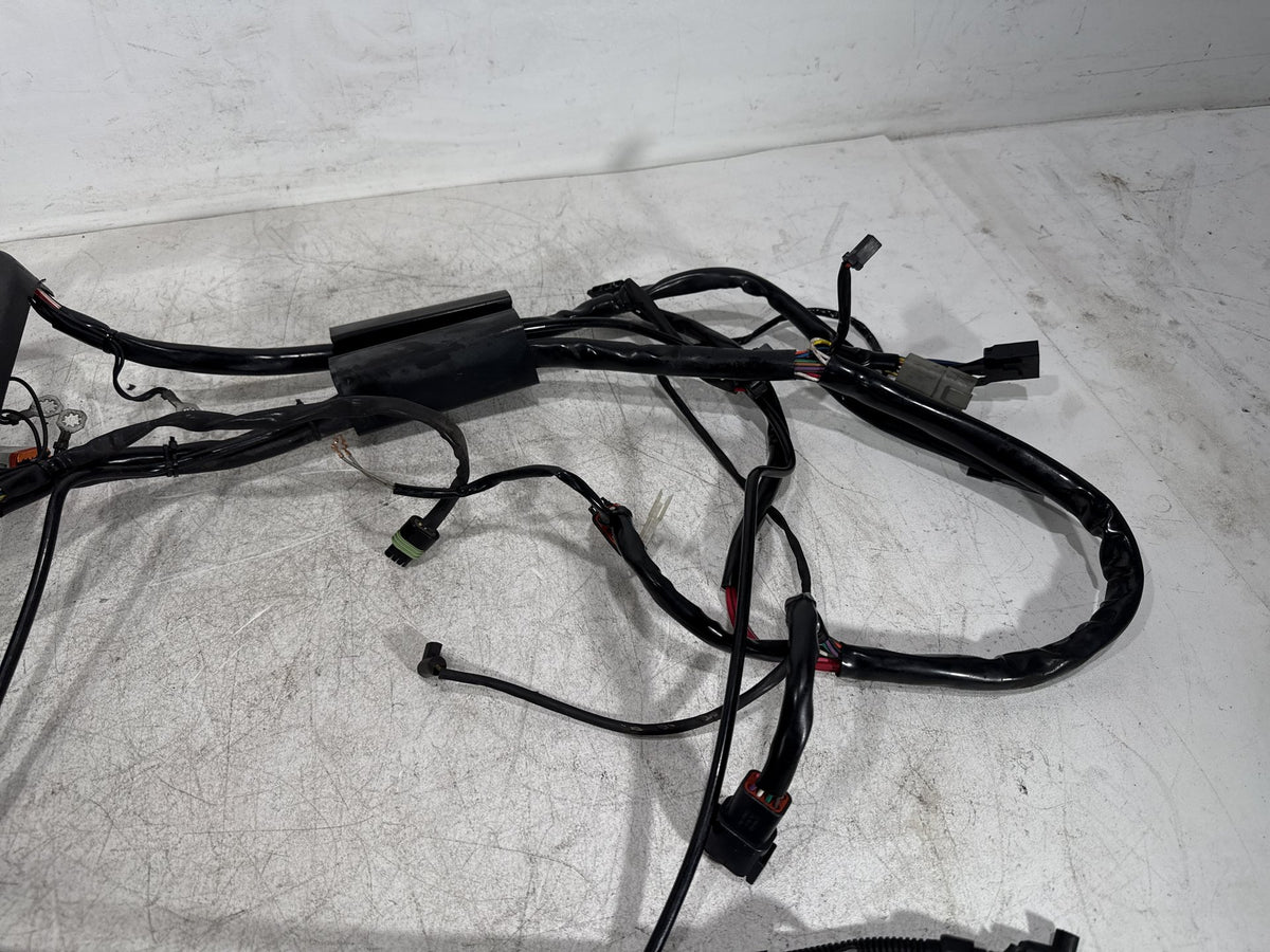 2001 Harley Fat Boy Softail FLSTF OEM Main Wire Wiring Harness Loom CARB