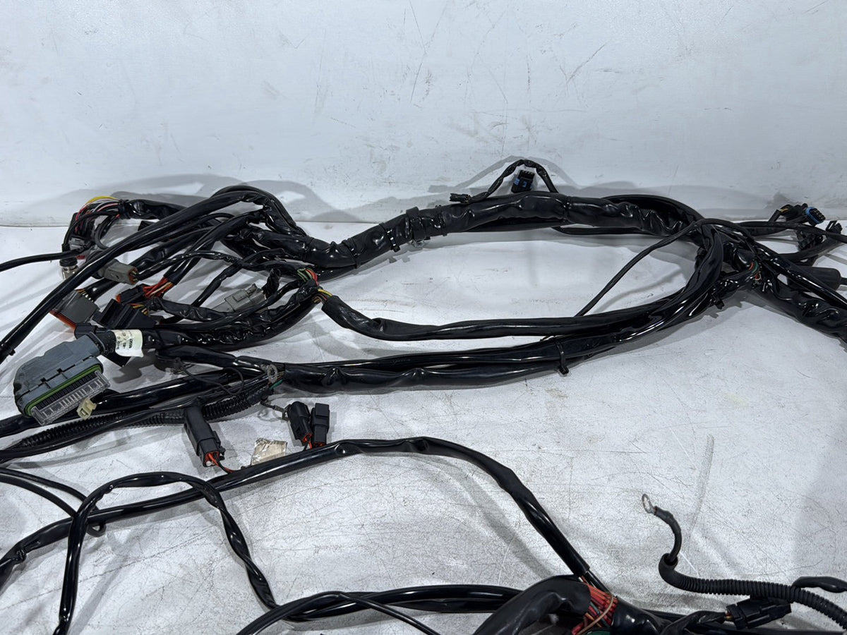 2003 Harley Electra Glide Touring Ultra OEM Main Wire Wiring Harness Loom