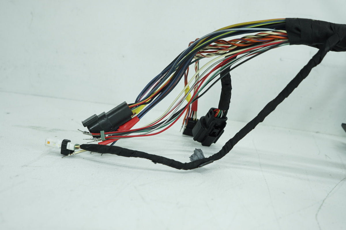 Main Wire Wiring Harness Loom, 69202197, 2024, Harley-Davidson, Softail, Standard, FXST