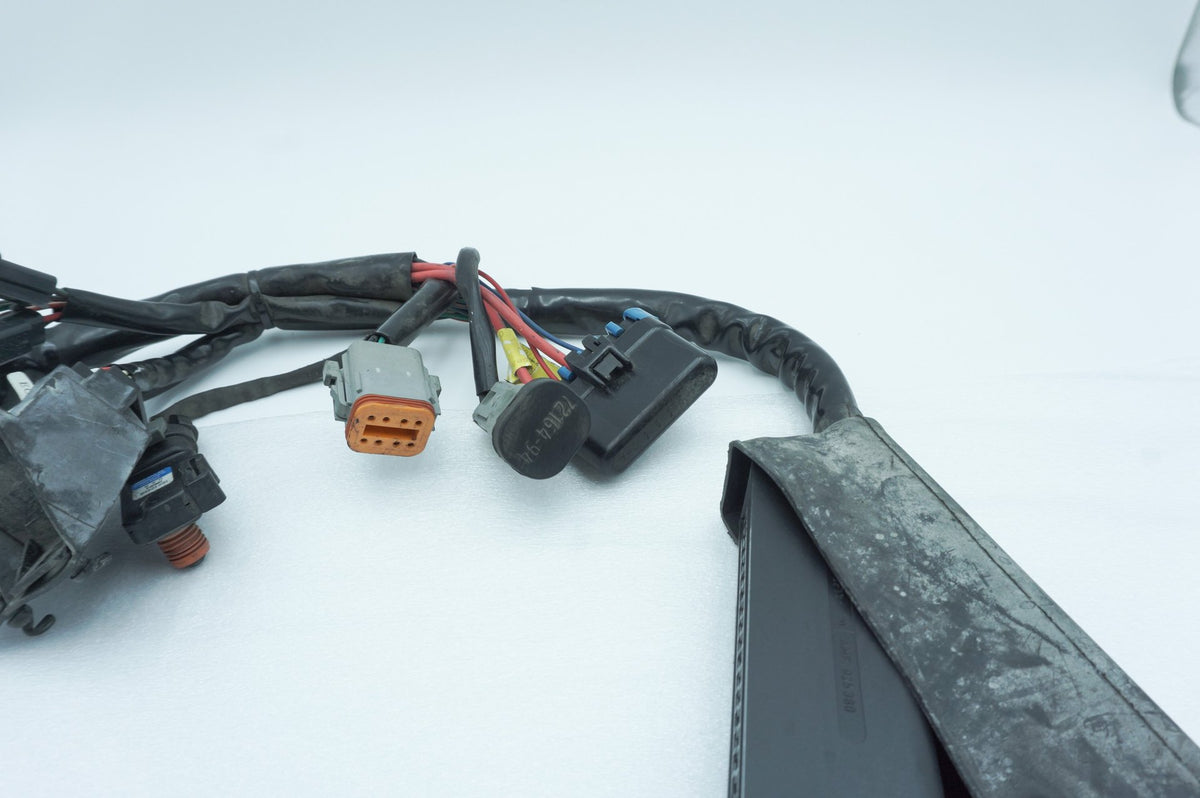 Wire Harness Loom Plug In Connector, 2001, Harley-Davidson, Touring, Electra Ultra, FLHTCUI
