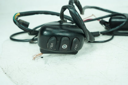 1999 - 2006 Harley-Davidson Touring Road King Police Wire Wiring Harness Plug In Connectors 77207-11A